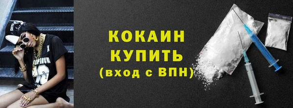 шишки Вяземский