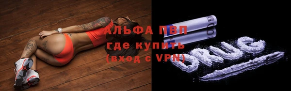 шишки Вяземский