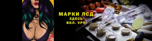 шишки Вяземский