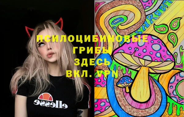 ПСИЛОЦИБИНОВЫЕ ГРИБЫ Вязьма