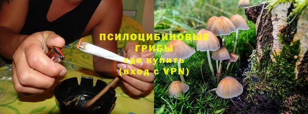 стафф Вязники