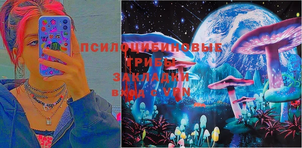 шишки Вяземский